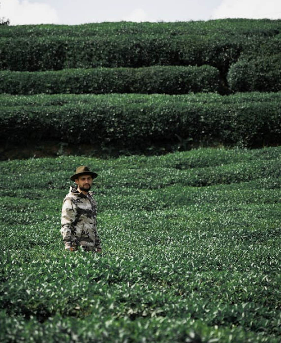 Sustainable production partner